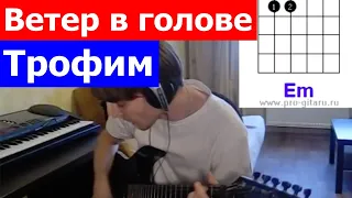 Трофим Ветер в голове аккорды 🎸 кавер табы как играть на гитаре | pro-gitaru.ru