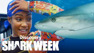 Tiffany Haddish Dives with Lemon Sharks! | Shark Week