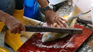 Amazing Cutting Live Fish at seafood market Hong Kong