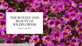 The Botany and Beauty of Wildflowers