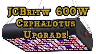 New JCBritw 600W LED Review in The Greenhouse: Cephalotus and Heliamphora Carnivorous Plants Update