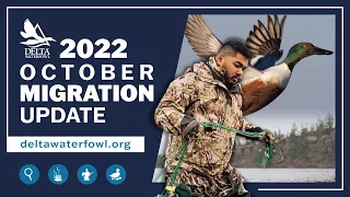 October 2022 Migration Report | Delta Waterfowl