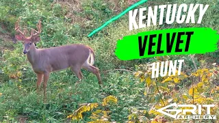 KENTUCKY EARLY SEASON VELVET BOW HUNT!!! / 4K