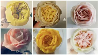 앙금플라워 장미 꽃짜기 모음(2) Roses flower piping techniques tutorial