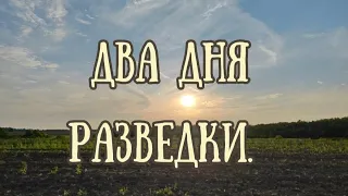 Два дня разведки. Коп 2023 июнь.