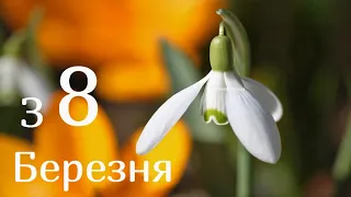 Відео-привітання з 8 Березня українською мовою🌹гарна музична🎶відео-листівка на 8 Березня👍