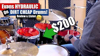 Evans Hydraulic 🔴 On DIRT Cheap Drums! 🤔 Review & Listen (Headphones Recommended) 🎧