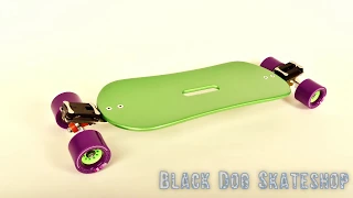STEVOLUTION Black Dog Skateboards Mix