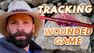 Tracking Wounded Elk, Deer and Bears: Tactics Based on 100s of Blood Trails
