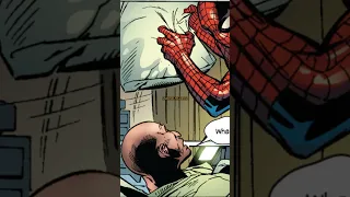 Spider-Man Teaches Vulture a lesson