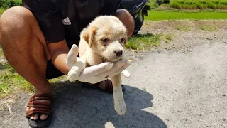 He Was Injured, Rushed to Beg and Was Rescued by The Kind Man