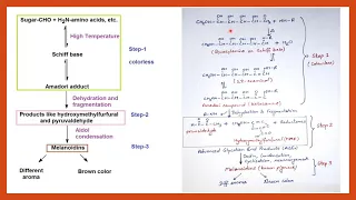 Maillard Reaction || Food Chemistry || Food Safety Officer || CFSO || Food technology