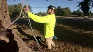 Lowerable Base Anchor for SRT Climbing System