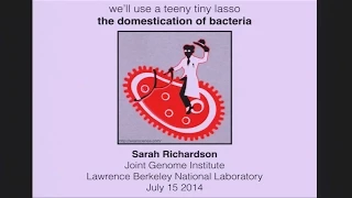 DOE CSGF 2014: We’ll Use a Teeny Tiny Lasso: The Domestication of Bacteria