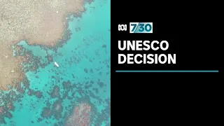 UNESCO defends the decision to list the Great Barrier Reef as 'in danger' | 7.30