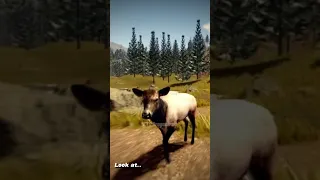 This is not horse stuff but I thought this was cool//game:Yellowstone Unleashed on Roblox