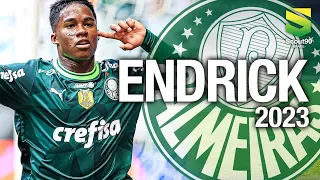 Endrick 2023 - Magic Skills, Dribles & Gols - Palmeiras | HD