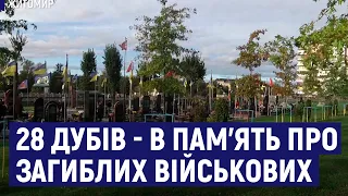 У Житомирі на військовому кладовищі висадили 28 дубів в пам'ять про загиблих військових