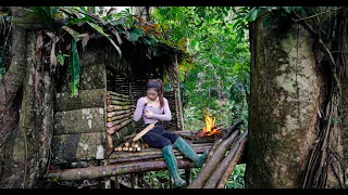 Build cabin for shelter in the jungle - Solo survival camping, bushcraft and wild foods