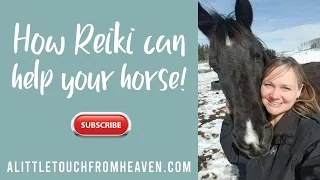 Why should you give your horse Reiki?