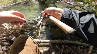 trout fishing upper bishop river tons of trout