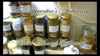 Herbal Medicine Basic Home Apothecary / Kitchen Lab Introduction