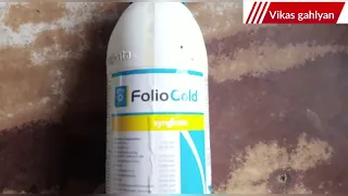 Folio gold fungicide | Syngenta folio gold fungicide | Chlorothalonil 33.1%+ Metalaxyl-M 3.3% SC