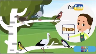 Птахи України 🐦Перелітні  та осілі птахи України | Голоси птахів | Відгадай пташку за її голосом