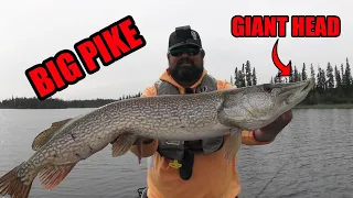 Pike Fishing a new Lake | Back to Back Tanks!