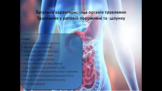 Анатомія та фізіологія людини -32. Апарат травлення. Травлення в ротовій порожнині та шлунку.