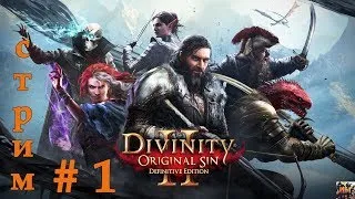 🔥 Divinity: Original Sin 2 🔥 ПЕРВЫЙ ЗАПУСК СТРИМ  КАРАНТИН 😷