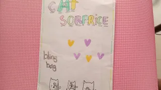 Bling bag de cat Surprise 🐾🐱