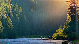 Fly Fishing the Saint Joe River, Idaho for Wild Westslope Cutthroat Trout