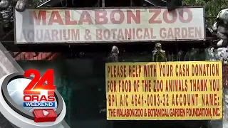 May-ari ng Malabon Zoo, humihingi ng tulong para sa mga hayop sa pasyalan | 24 Oras Weekend