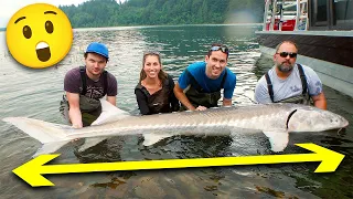 10 Biggest Fish Catches EVER Made In History