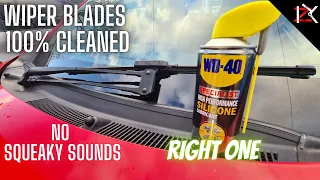How To SUPER Clean Windscreen Wiper Blades | NO Squeaky Sounds | Use The CORRECT WD 40 SPRAY