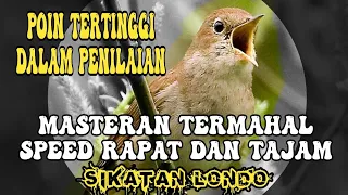 SIKATAN LONDO TEMBAKAN SPEED RAPAT MASTERAN MURAI BATU TERMAHAL