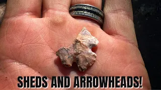 SHED HUNTING | PUBLIC LAND | ARROWHEADS | CALI BOYS TRIP 2022