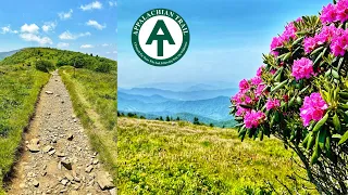 Grassy Ridge Bald Hike - Roan Mountain - Rhododendrons at Carvers Gap - Hike Vlog 73