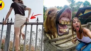 Best Funny Videos  - Try to Not Laugh 😆😂🤣#62