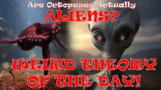 Expedition Erudite - WEIRD Theory of the Day - Are OCTOPUSES Actually ALIENS?