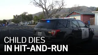 7-Year-Old Child Dies in Hit-And-Run in Milpitas