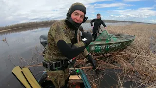 СУПЕР ПОДВОДНАЯ ОХОТА НА САЗАНА, взял 4х Сазанов.