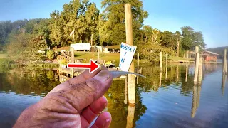 THIS Changes Everything!!! SIMPLE Tip Catches LOADS MORE Crappie!