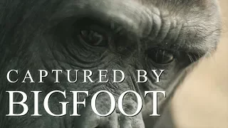 CAPTURED BY BIGFOOT - (African Baboon Kidnapping) - Mountain Beast Mysteries Episode 43.