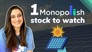 Should you invest in this monopoly stock? | India's only solar glass maker | Fundamental analysis