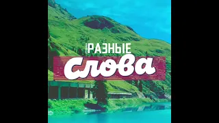 Словарь чеченского языка