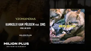 Yzomandias - Kamkoliv Kam Přijdem feat. DMS (official visualizer)