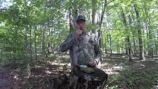 Kee-kee Turkey Call Demo