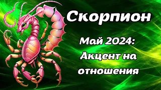 Что ждет Скорпионов в мае 2024 года? Гороскоп на месяц.